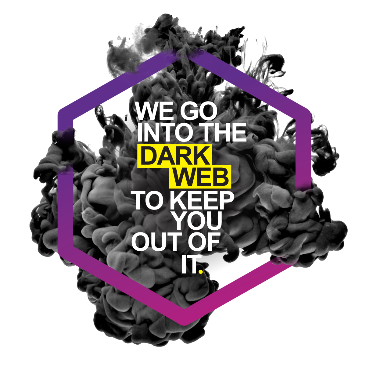 id_agent_we_go_into HardSoft Systems Ltd Professional IT Services